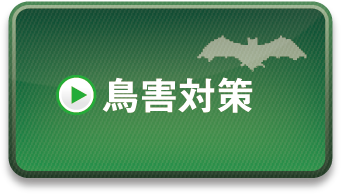 鳥害対策