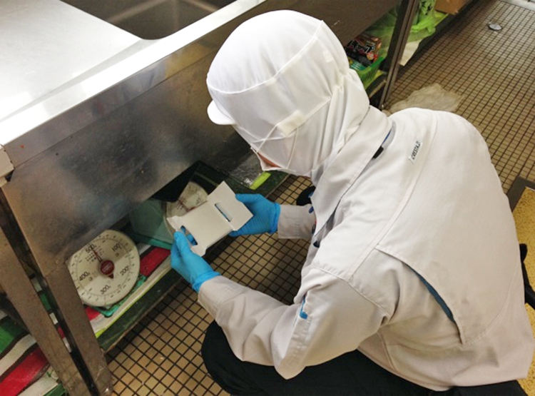 トラップによる生息調査