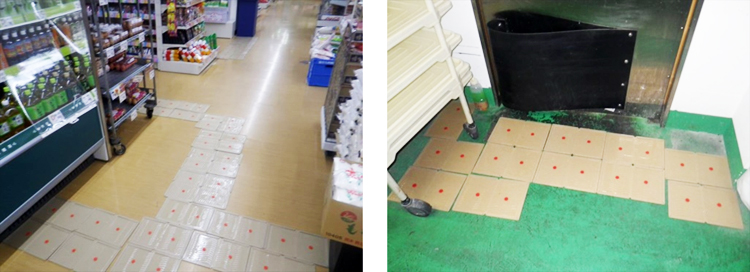 粘着トラップによる捕獲作業