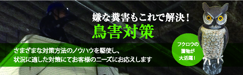 鳥害対策